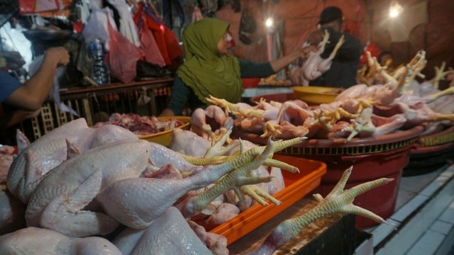 Penjual ayam potong di Pasar Tradisional Pasar Minggu. Foto: Fanny Kusumawardhani/kumparan