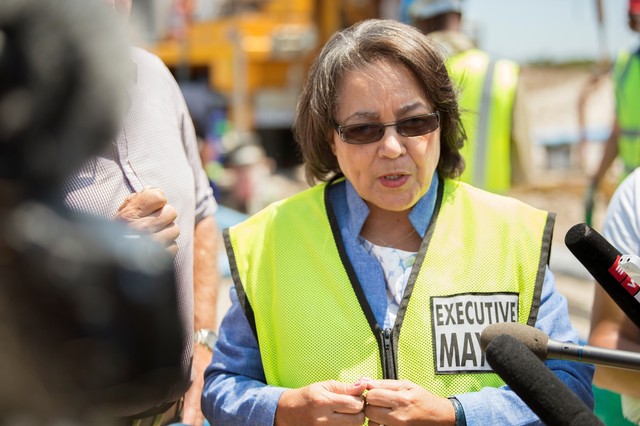 Patricia de Lille, Menteri Pekerjaan Umum Afrika Selatan
