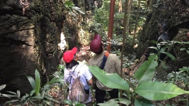 Tim ekspedisi Poso menemukan ratusan kerangka leluhur orang Tindoli di Desa Tindoli, Kabupaten Poso. Foto: Tim Ekspedisi Poso