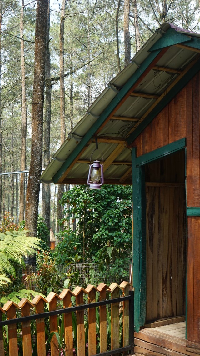 Orchid Forest, Menikmati Cantiknya Anggrek di Tengah Hutan