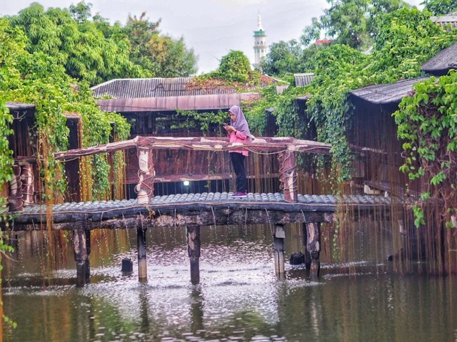 Jembatan Zona Alam.jpg