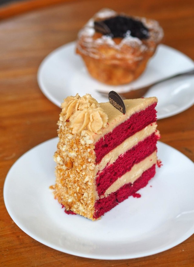 Red Velvet Redback.jpg