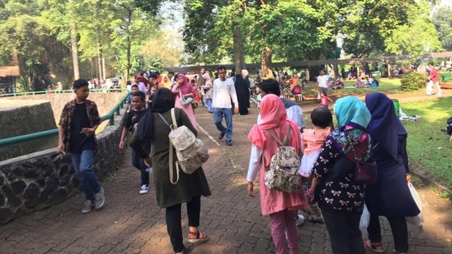 Suasana di Kebun Binatang Ragunan, Jakarta, Kamis (6/6). Foto: Andesta Herli Wijaya/kumparan