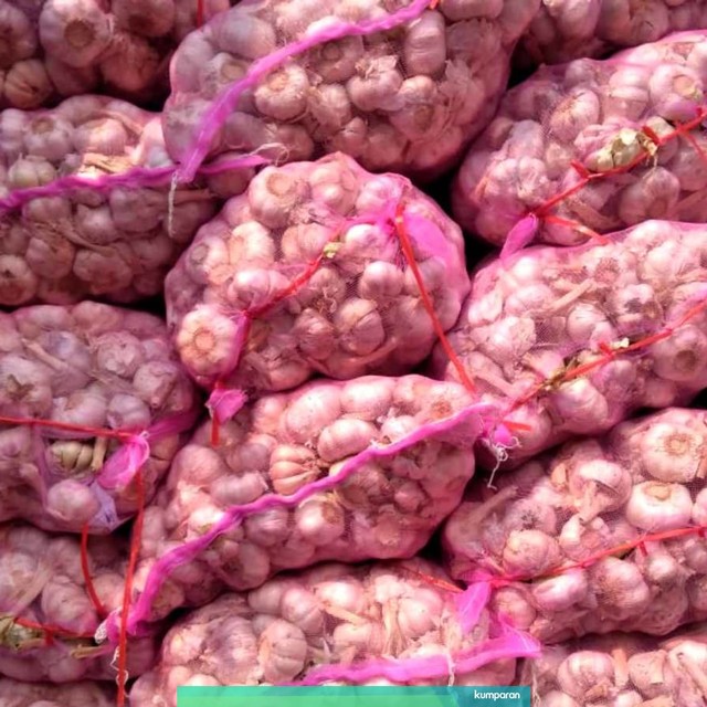 Ilustrasi bawang putih. Foto: Dok. Kementerian Pertanian