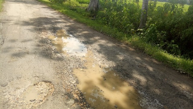 IMG20190203100811.jpg