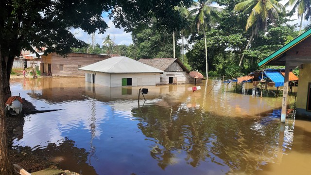 Rumah warga di Kabupaten Konawe yang terendam banjir, Senin (10/6). Foto: Wiwid/kendarinesia
