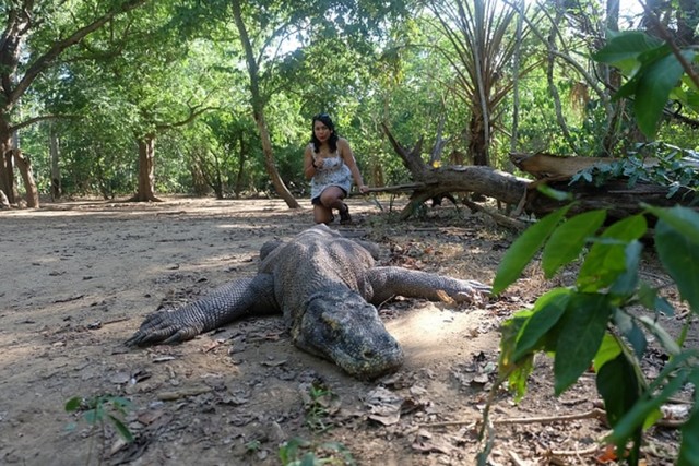 Pulau Komodo.JPG