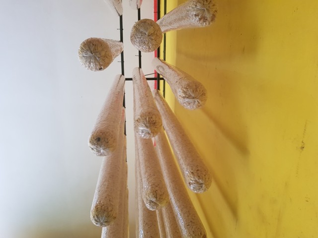 20190610_153106.jpg