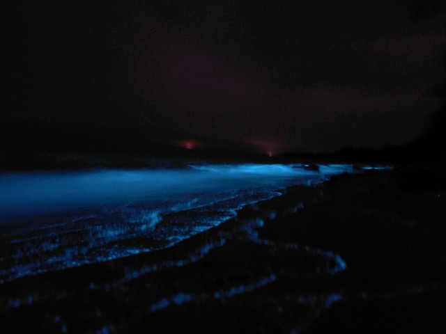 Cahaya plankton di tepi Pantai Tanjung Keluang yang diabadikan oleh pengunjung. (Foto: Rara Nasrudin)