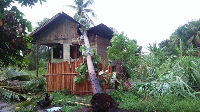 Salah satu rumah warga tertimpa pohon akibat puting beliung di Aceh Utara. Foto: Dok. BPBD Aceh Utara 