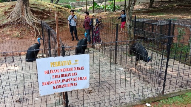 Kondisi terkini kebun binatang mini di kolam renang Kostrad, Depok ,Cilodong. Foto: Dok. Kostrad