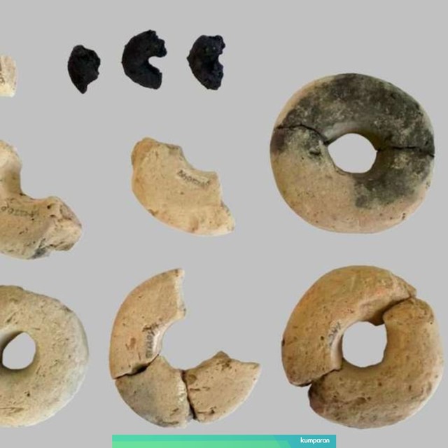 Penemuan makanan kuno dari zaman perunggu di Austria. Foto: Andreas Heiss et al, 2019