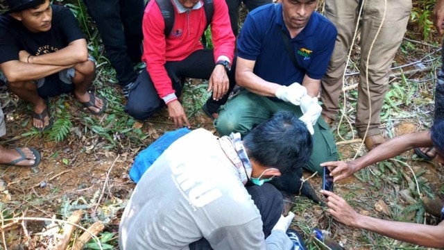Anak Beruang Madu yang Terkena Jerat Babi di Aceh