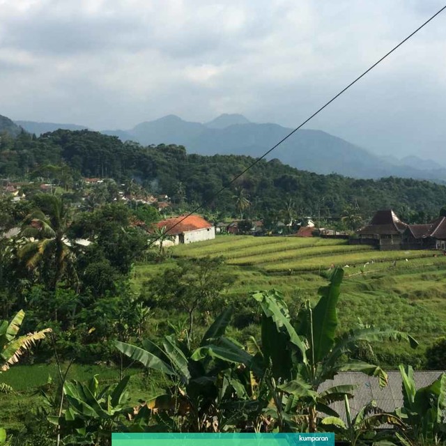 Desa Gunung Picung. Foto: Lutfan Darmawan/kumparan