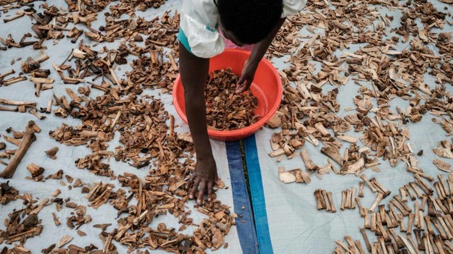 Sisa korban Genosida Rwanda