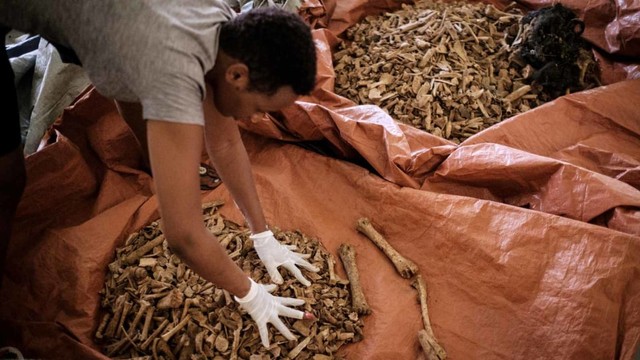 Sisa korban Genosida Rwanda
