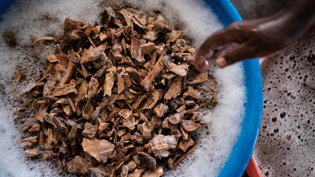 Sisa korban Genosida Rwanda