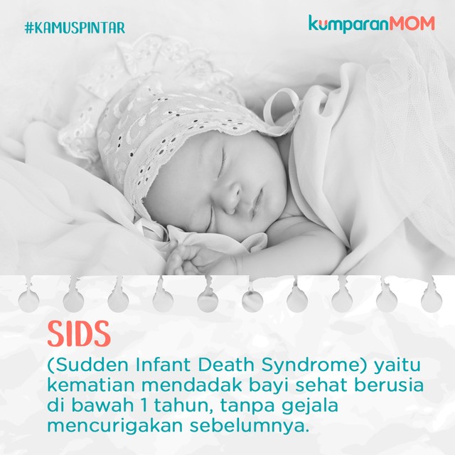 Kamus Pintar - SIDS Foto: Shutter Stock/ Sabryna Putri Muviola