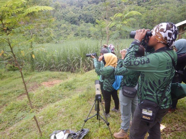 Tim pecinta alam saat memantau Burung Cucak Ijo di Kabupaten Malang. Foto dokumen.
