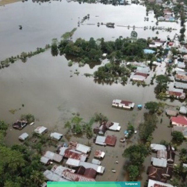 Foto udara kondisi area persawahan padi yang terendam banjir di Kecamatan Pondidaha, Konawe, Sulawesi Tenggara, Jumat (14/6). Foto: ANTARA FOTO/Jojon.