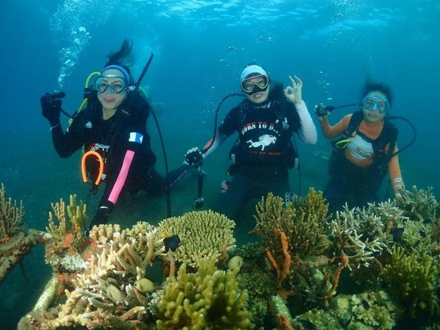 Divers wanita yang ada di Sulawesi Utara direncanakan tampil dalam pemecahan rekor dunia yang akan dilaksanakan di Taman Laut Nasional Bunaken
