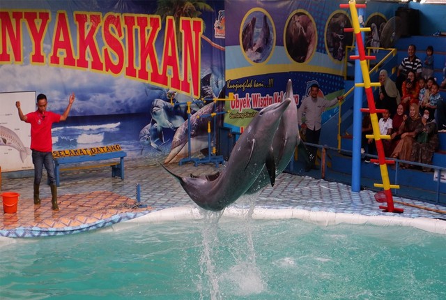 TripAdvisor Akan Setop Penjualan Tiket Atraksi Binatang untuk Wisata (84582)