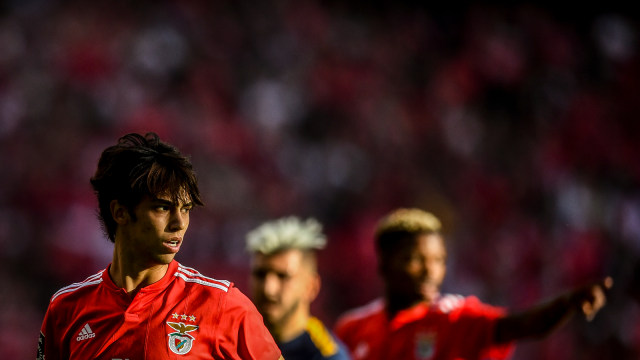 Joao Felix memperkuat Benfica di laga vs Santa Clara. Foto: AFP/Patricia de Melo Moreira