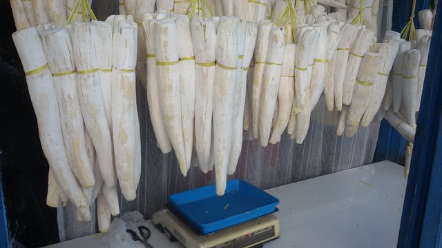 Peuyeum/Tape singkong Foto: Shutterstock