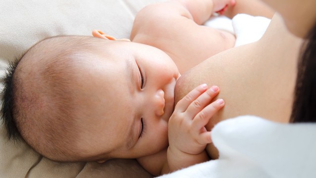 menyusui bayi