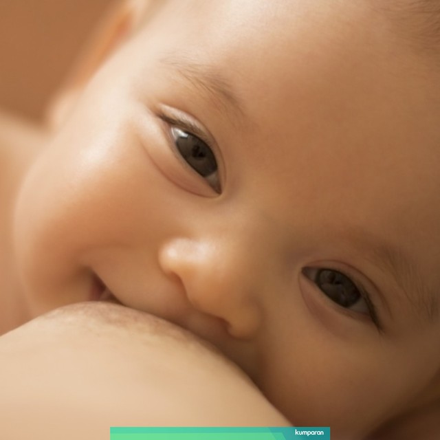 Bayi menyusu. Foto: Shutterstock