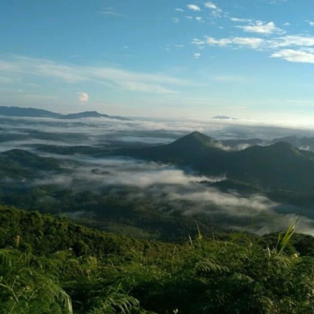 Bukit Bongku, negeri di atas awan Sekadau, Kalimantan Barat. Foto: Triyadi