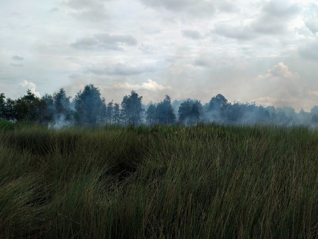 Kebakaran lahan yang terjadi di wilayah lahan gambut, Kabupaten Banyuasin, Sumsel (Dok. Urban Id)