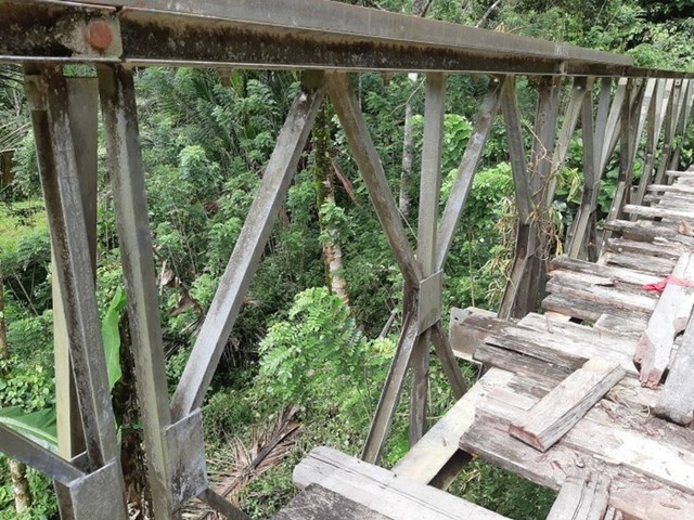 kayu.jpg