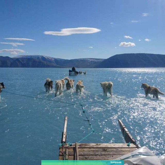 Kondisi Greenland di hari pencairan es yang hebat pada Juni 2019. Foto: Steffen Olsen/Danish Meteorological Institute