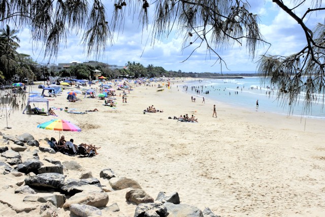 Wisatawan di Salah Satu Pantai yang Ada di Noosa, Australia Foto: Shutter Stock
