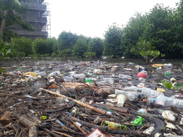 Sampah-sampah di area Mangrove, Desa Poka-Teluk Ambon, Jumat (21/6). Dok: Lentera Maluku