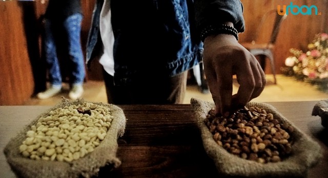 Biji kopi yang dihasilkan dari Sumatera Selatan (foto: abp/Urban Id)