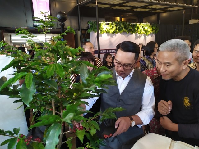 Dua Persoalan di Balik Maraknya Bisnis Kedai Kopi (51896)