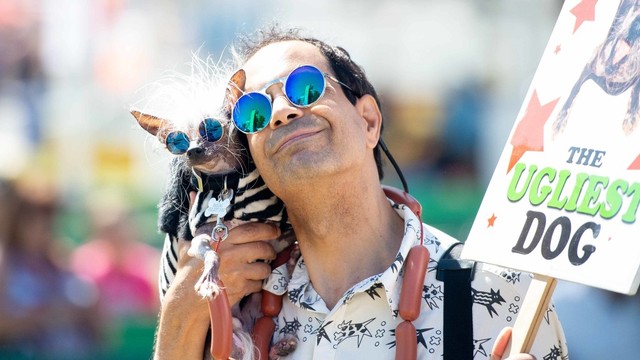 Dane Andrew memeluk anjingnya, Rascal Deux, pada Kompetisi Anjing Terjelek di Dunia di Petaluma, California, Jumat (21/6). Foto: AFP/JOSH EDELSON