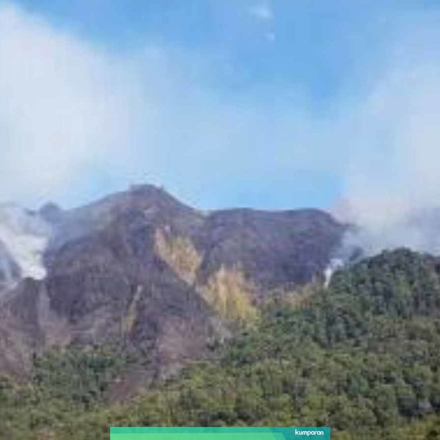 Kebakaran di kawasan hutan Gunung Rinjani. Foto: Dok. BPBD Lombok Timur