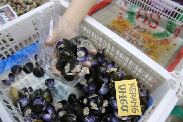 kerang klotok kumparan-24.jpg