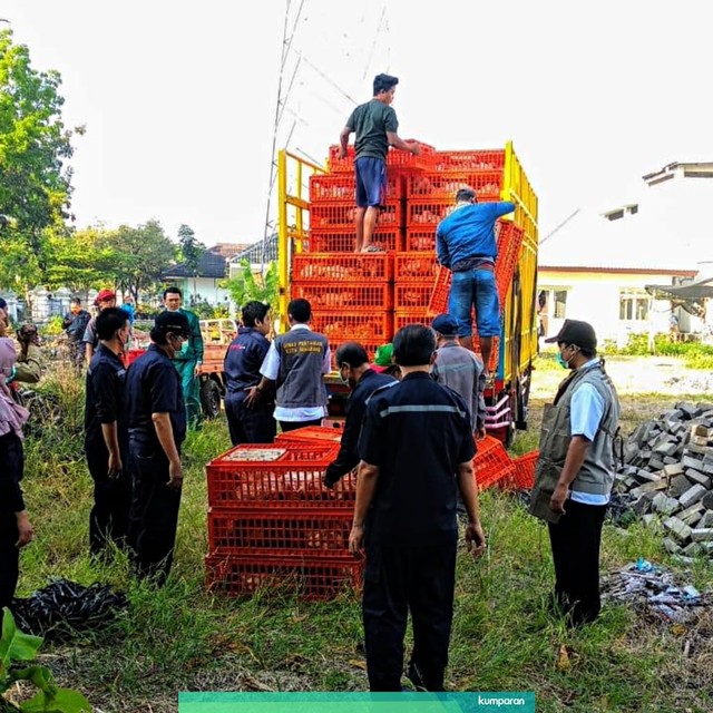 Suasana pembagian ayam broiler gratis di Kecamatan Gayamsari, Semarang, Rabu (26/6). Foto: Afiati Tsalitsati/kumparan