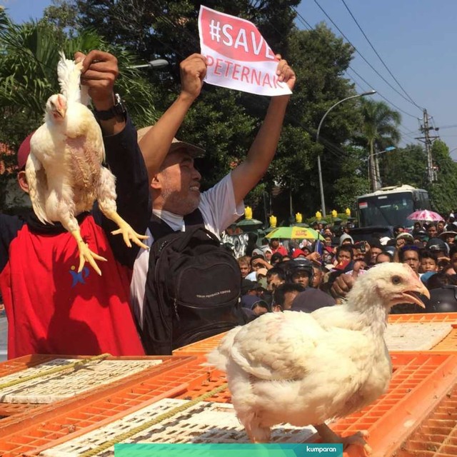 Suasana bagi ayam gratis di Jalan Ipda Tut Harsono, timur Balaikota Yogyakarta. Foto: Arfiansyah Panji Purnama/kumparan