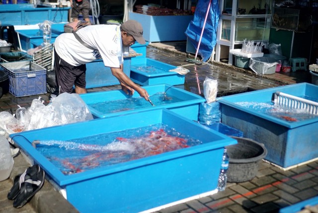 Foto: Pedagang Ikan Hias di Jatinegara Direlokasi (14872)