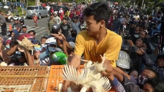 Peternak bagikan ayam ke warga di Jogjakarta. (Sumber foto: viva.co.id)
