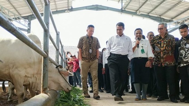 Menteri Pertanian Ungkap Populasi Sapi Terbesar Ada di Jatim