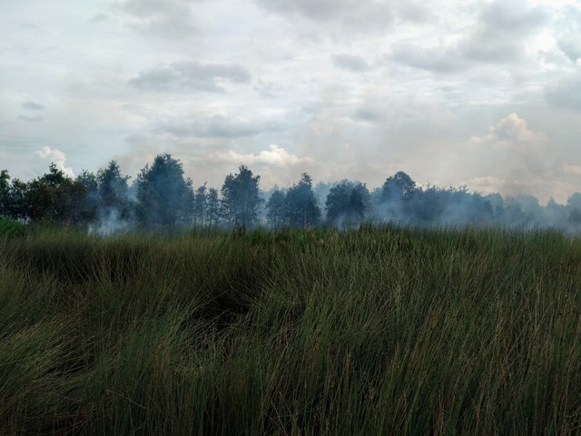 Kebakaran hutan dan lahan yang terjadi di Desa Sungai Rengit, Kabupaten Banyuasin, Sumatera Selatan. (Foto: Dok. Urban Id)