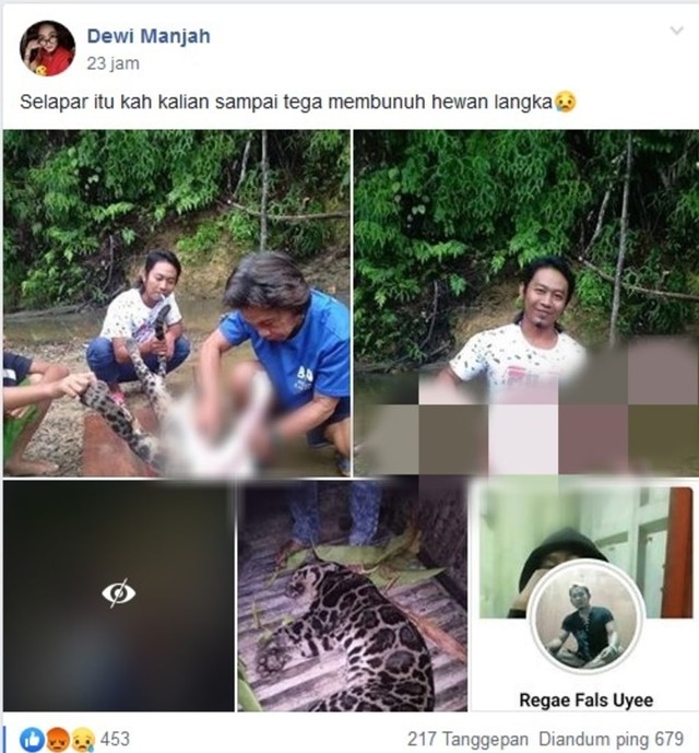 macan4.jpeg