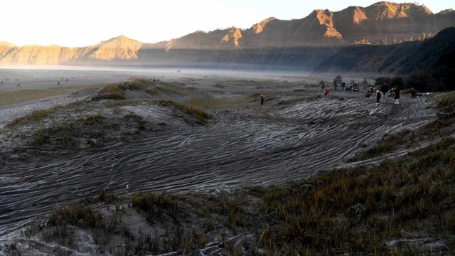 Hamparan pasir yang diselimuti empun upas di kawasan Gunung Bromo, Probolinggo, Jawa Timur, Minggu (30/6). Foto: ANTARA FOTO/Zabur Karuru