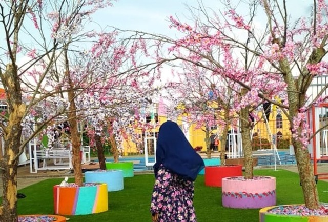 Keindahan Taman Bunga Celosia Happy and Fun yang berlokasi di Jalan Gedong Songo, Bandungan, Kabupaten Semarang. (Tara Wahyu N.V.)